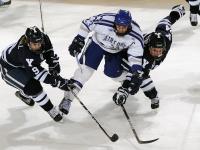 IM电竞官方入口-绝境之翼，霍勒迪压力下的涅槃，老鹰展翅淘汰尼克斯