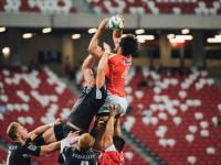 IM电竞官方入口-孤星耀世，2026美加墨世界杯，孙兴慜与哥伦比亚门神共铸的十六强神话