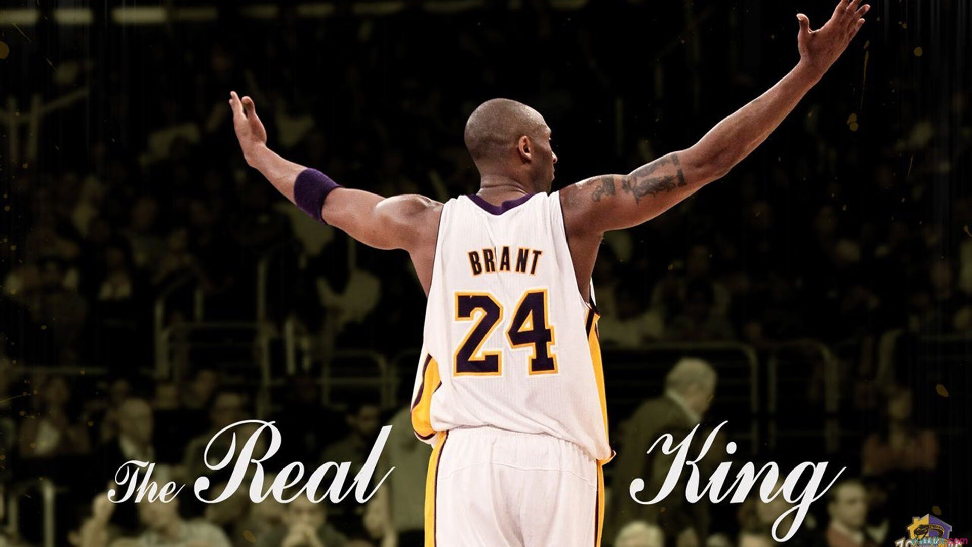 那不勒斯打穿爱尔兰防线，莱奥末节神兵天降接管比赛