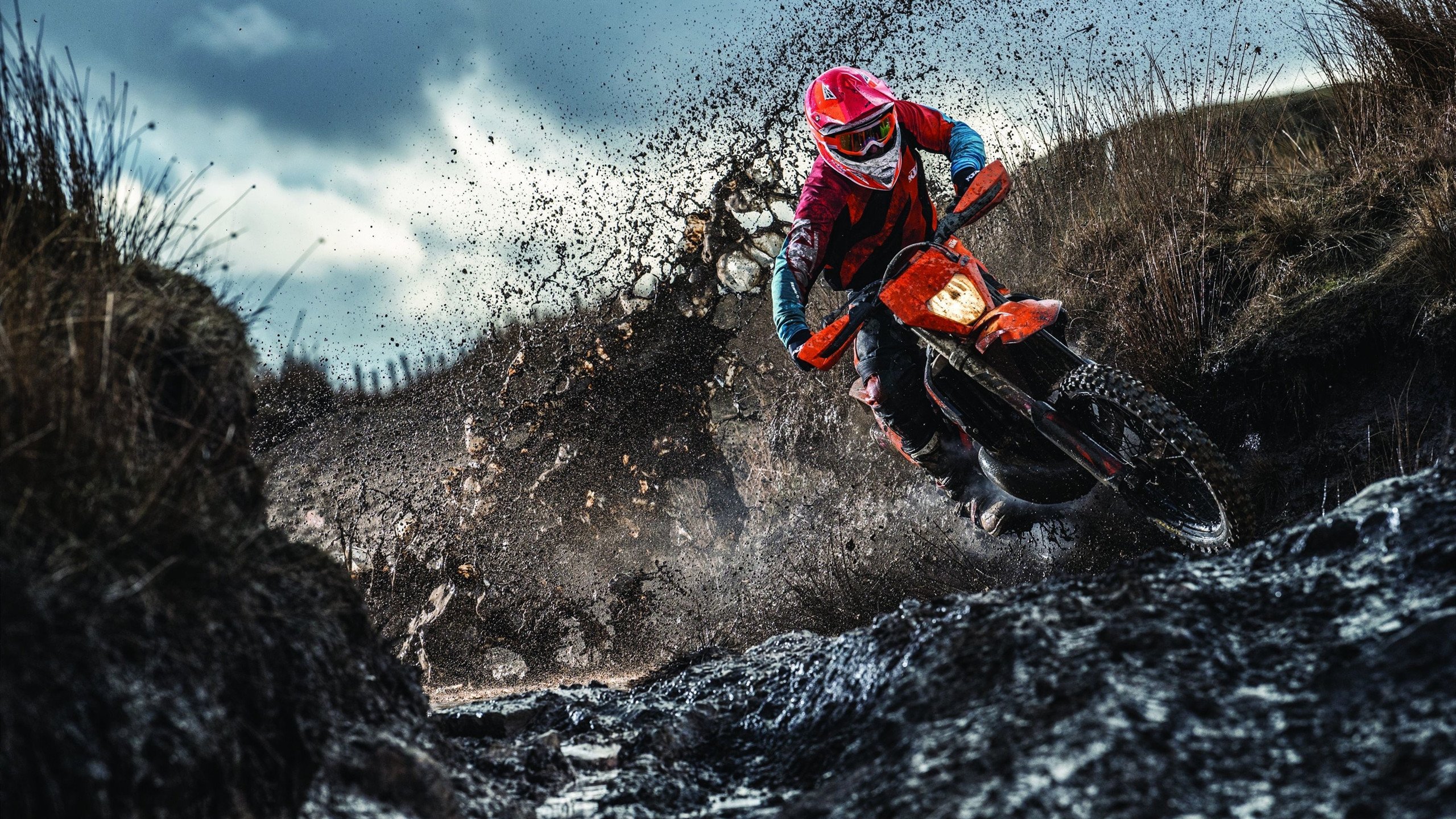 波尔惊艳四座，法国队横扫葡萄牙队，一场战术与天赋的完美风暴